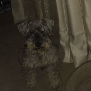 Meet your Posher, Lashelle